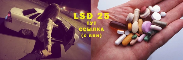 PSILOCYBIN Лиски