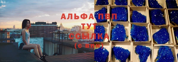 PSILOCYBIN Лиски