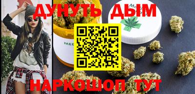 индика Моздок