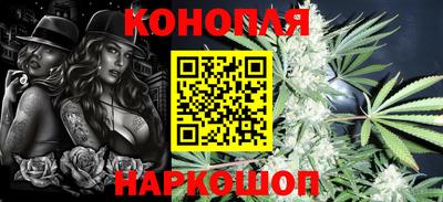 Альфа ПВП Можга