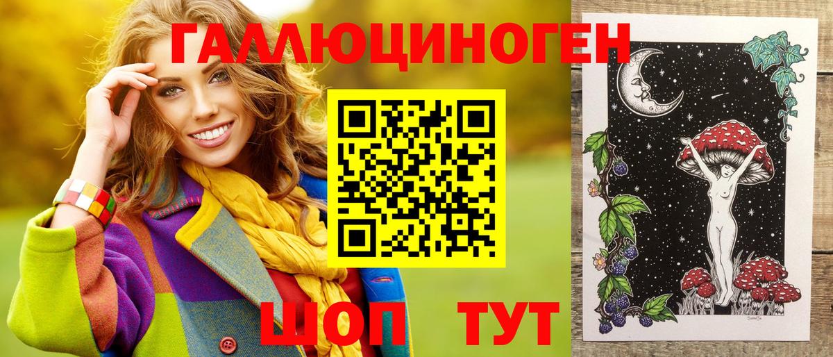 Галлюциногенные грибы Psilocybe Советская Гавань
