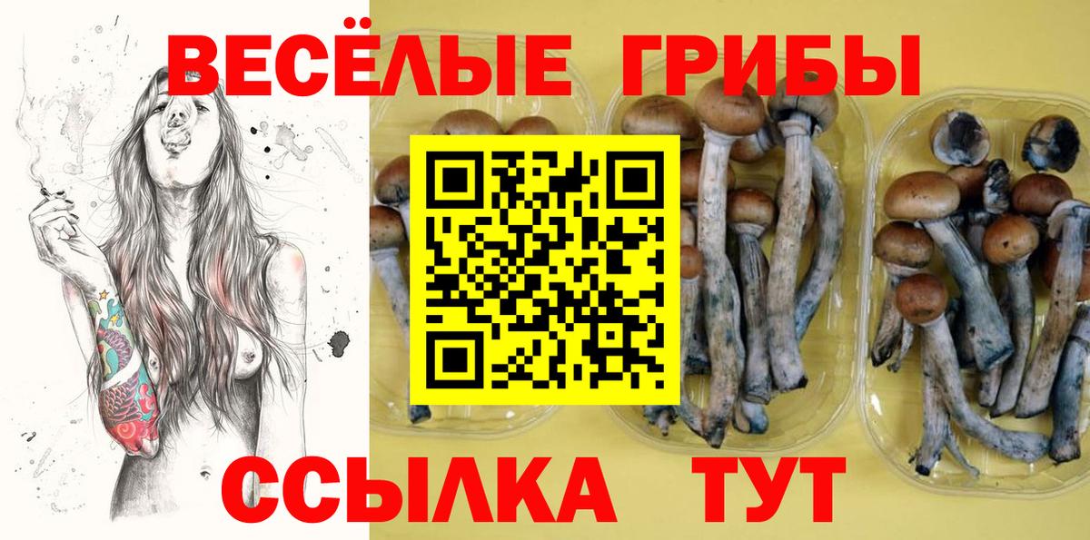 Псилоцибиновые грибы Cubensis  Вход с VPN  Советская Гавань  Псилоцибиновые грибы GOLDEN TEACHER 
