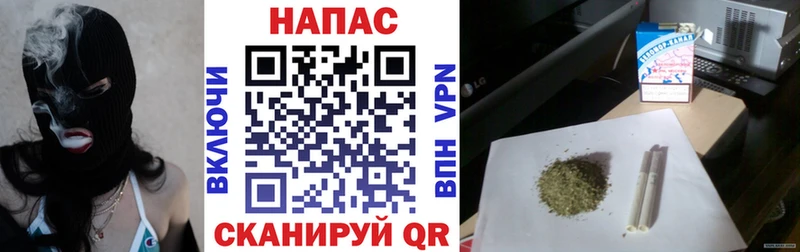 хочу наркоту  Советская Гавань  Канабис гибрид 